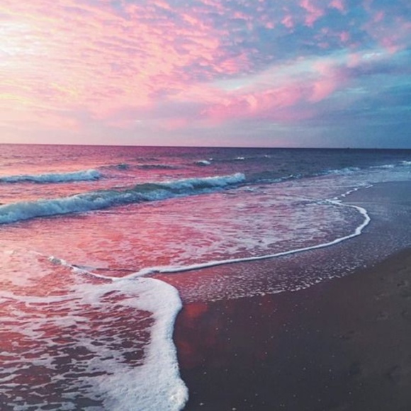 Meet your Posher, Paige - Picture 1 of 1